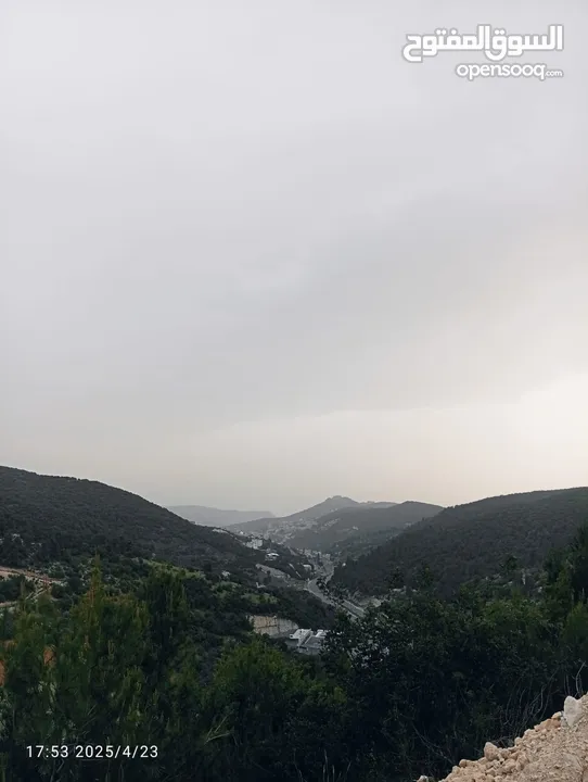 بيت العز والكرم
