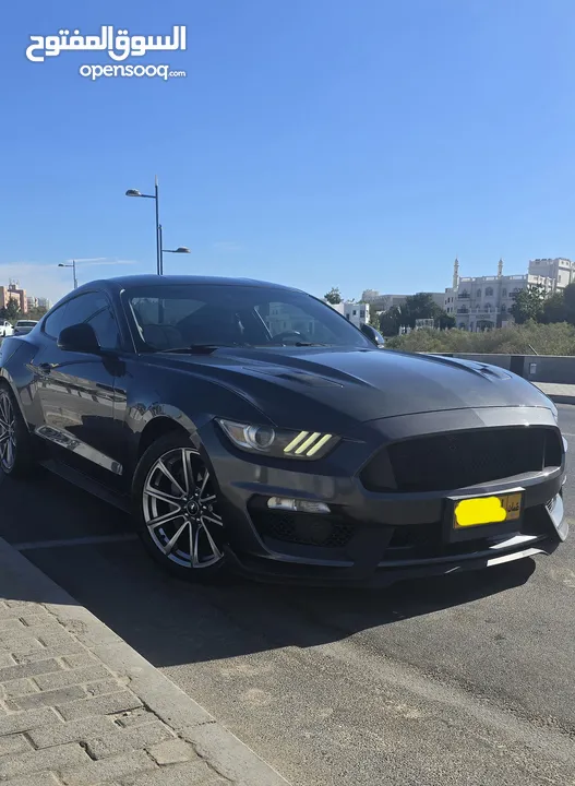 Mustang GT 5.0 V8 agency maintained Oman car.