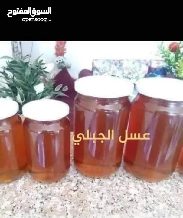 عسل طبيعي 100% سدر حمضي جبلي  ومضمون وشمع بالعسل وغداء الملكات
