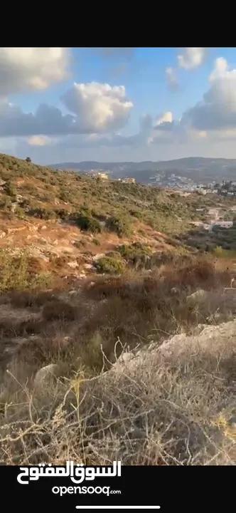 بسبب ظروف السفر وترك المنطقة، بدي أبيع الأرض.