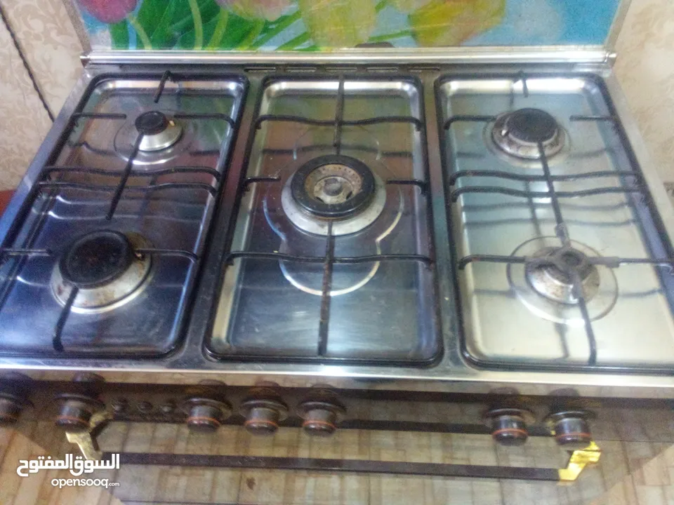 نوع فريش خمس عيون للبيع