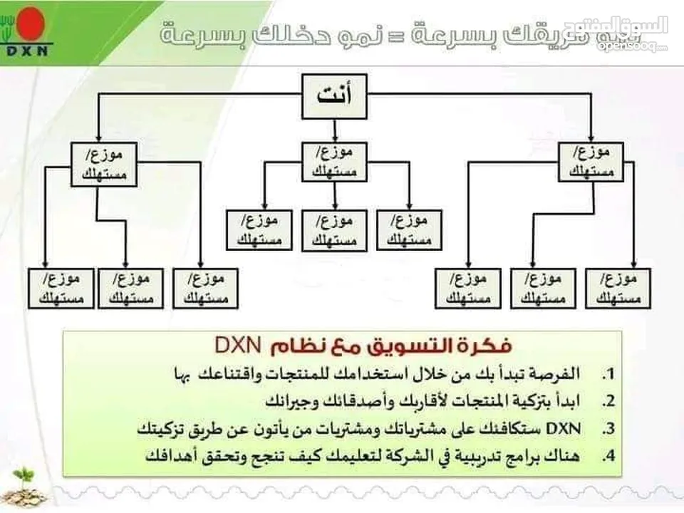 البحث عن فرصرحقيقيه من اي مكان في العالم في رياده الاعمال