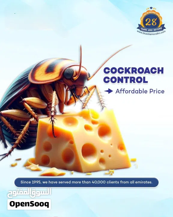 paint/wall paper/plishing/cleaning/pest control services/ Electrical and plumbing services