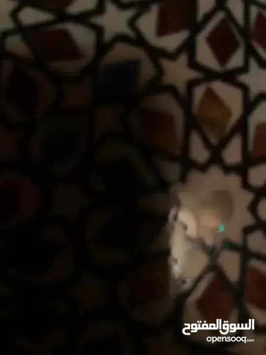 صينية مزغرفة من الطراز الرفيع حجم كبير بتوسع اكتر من 17فنجان الوانها روعةة