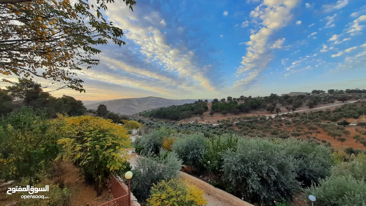 مزرعة و شاليهات جرش هيلز الخاصة  Jerash Hills Resort and Private Chalets