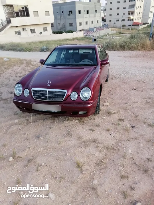قرش ونص 2001 ايليجنس