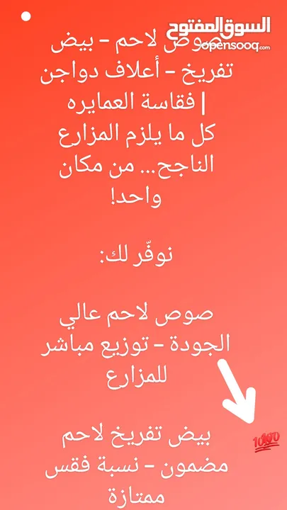 صوص لاحم مزارع   اعلاف ذره صويا شعير وعده محلات الدجاج   كيا فنتيرا موديل 1999ازرق كاش اواقساط