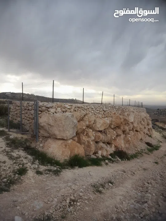 1800 م ارض طابو A الخليل دورا خرسه