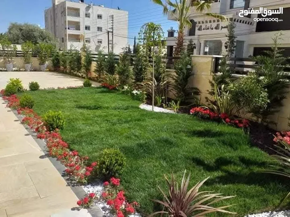 جميع أنواع الأشجار ( أشجار زينة - أشجار مثمرة )