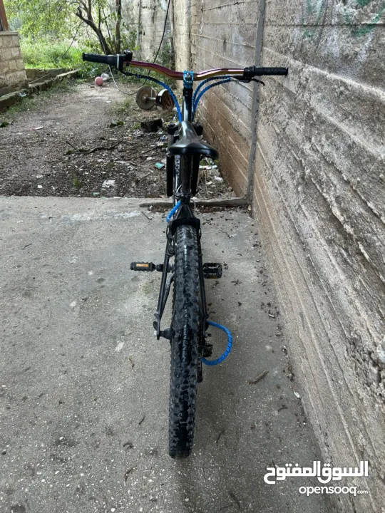 بسكليت نمره 24