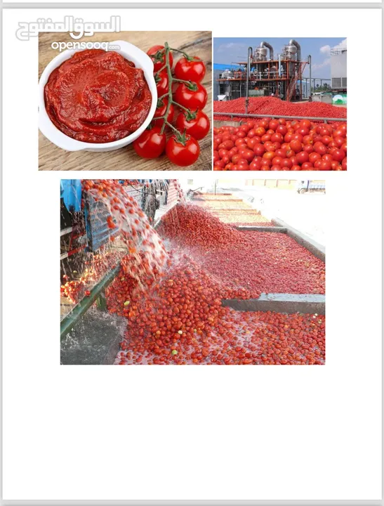 مصنع معجون عصير طماطم للبيع جديد