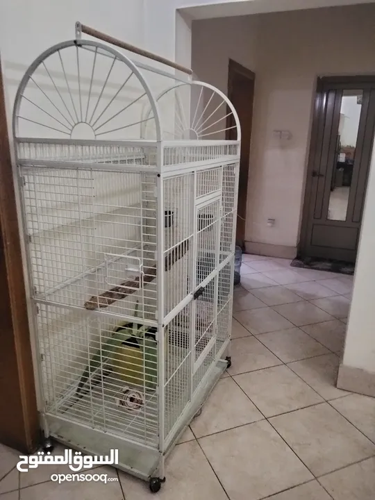 big cage for parrot for sale