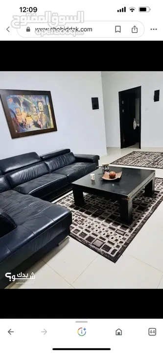 استوديو مفروش للايجار الماصيون