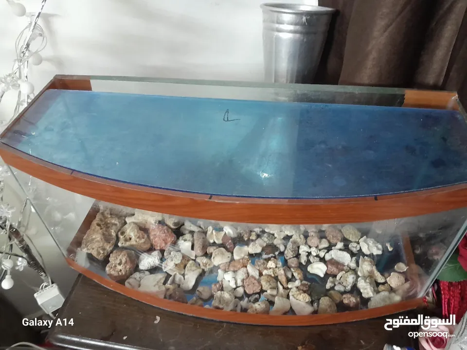 احواض سمك للبيع بجوده عاليه