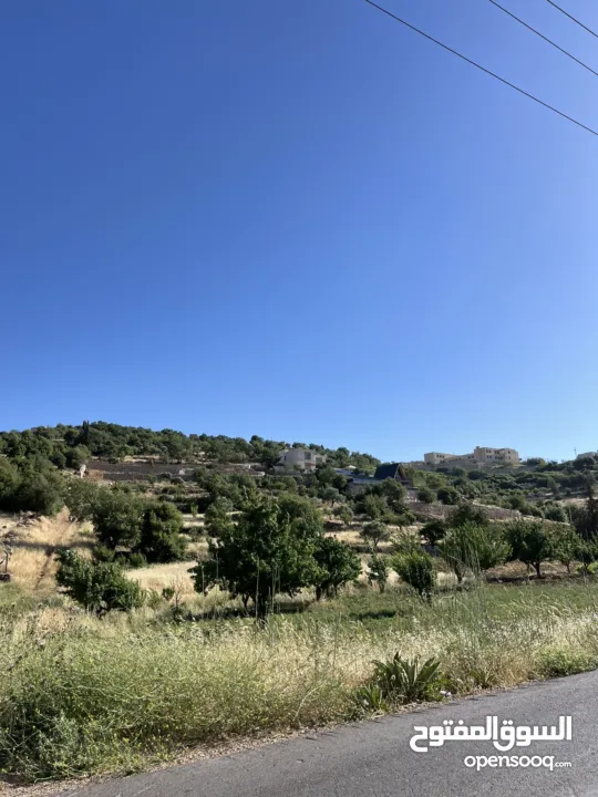 ارض للبيع في الأردن - عجلون