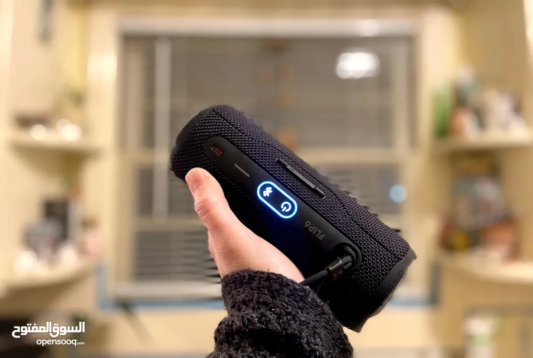 JBL Flip 6 Wireless Speaker