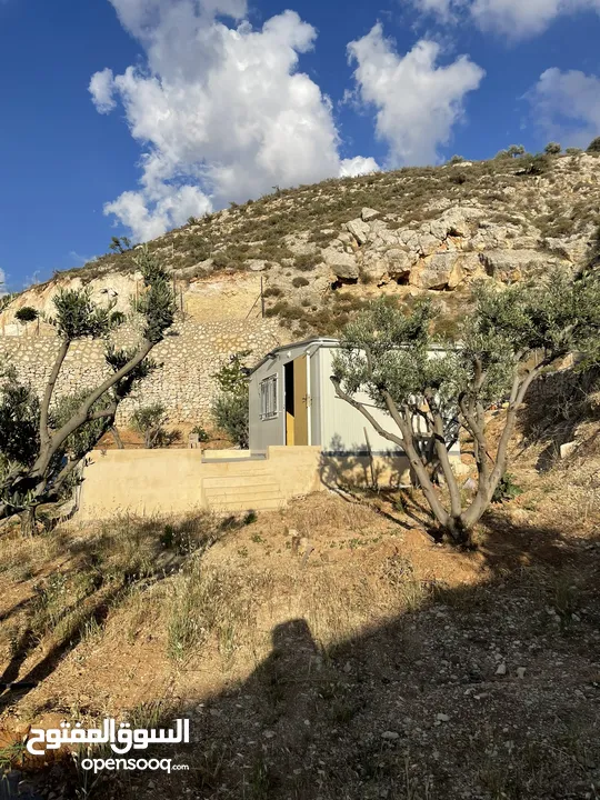 مزرعة في مغاريب السلط من المالك مباشرة