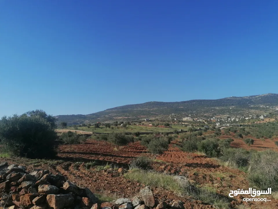 مزرعة مرتفعه ومطلة بسعر مغري