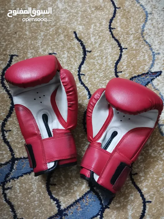 قلفزات Boxing للبيع