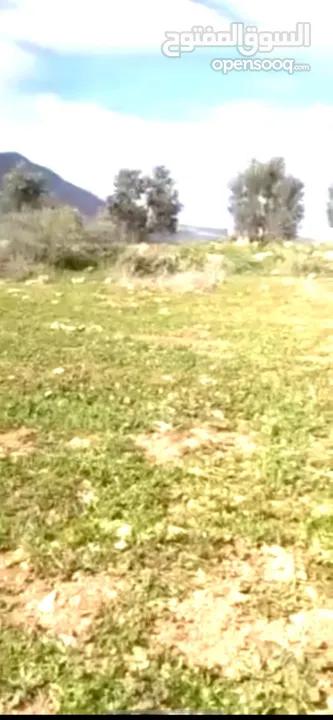 بيع ارض مميزة في النصاريه