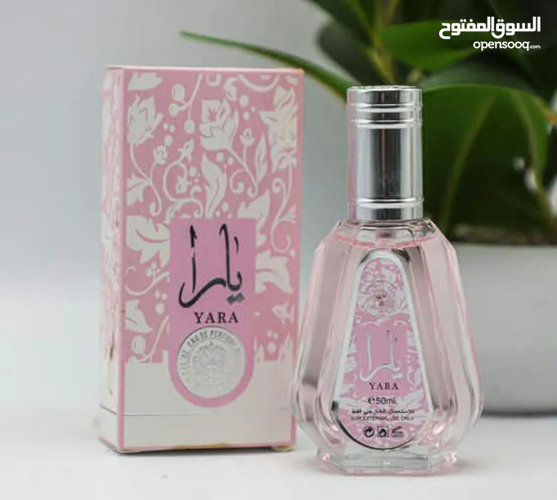 عطور خليجي 50 مل (25 علبة) بسعر الجملة