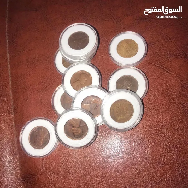 سنتات امريكية
