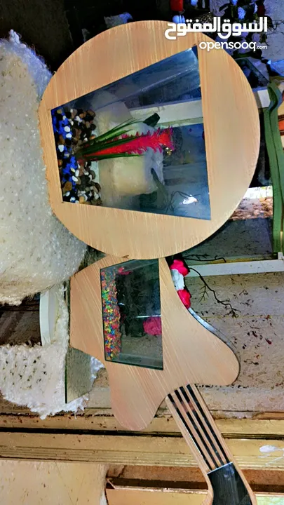 احواض سمك فايتر