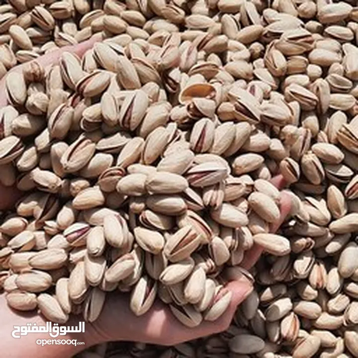 "فستق أكبري، أرقى وألذ فستق إيراني، الآن متوفر في سوق العراق."