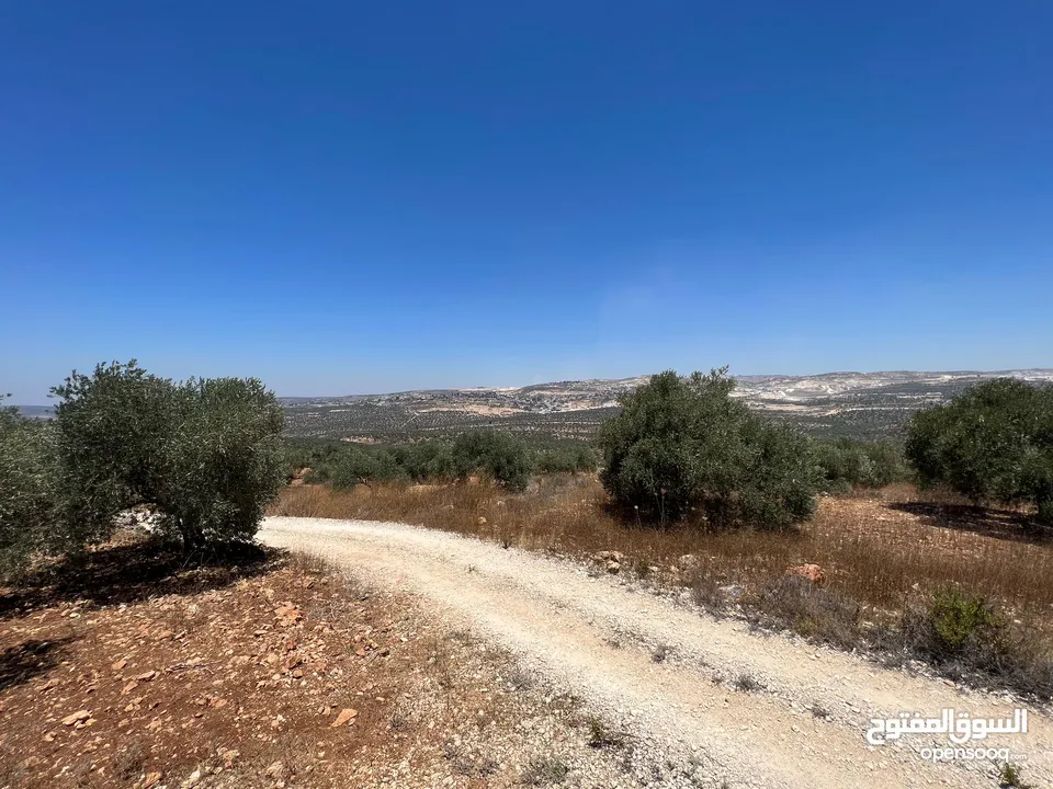 Land for Sale – Marda, Salfit (13.8 Donums)  أرض للبيع – مردة، سلفيت (13.8 دونم)