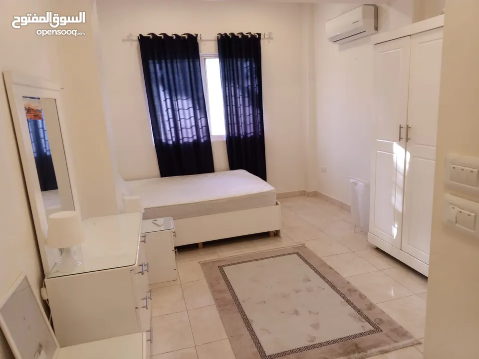Fully furnished flat apartment for rent