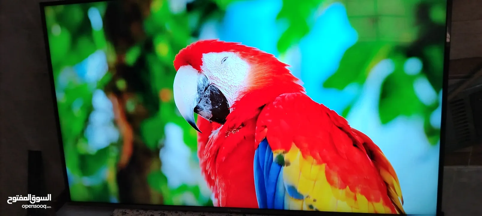 شاشه اي فيو 65 سمارت