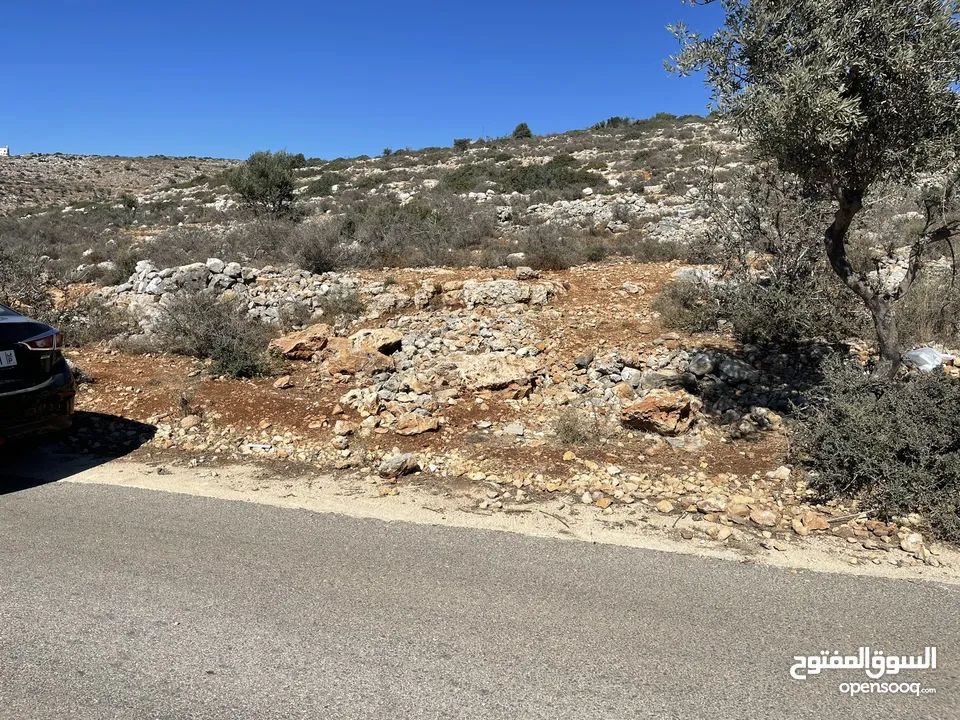 تملك قطعة ارض 5 دونم في اعلى جبال بني زيد طابو فلسطيني A والتنازل مباشرة
