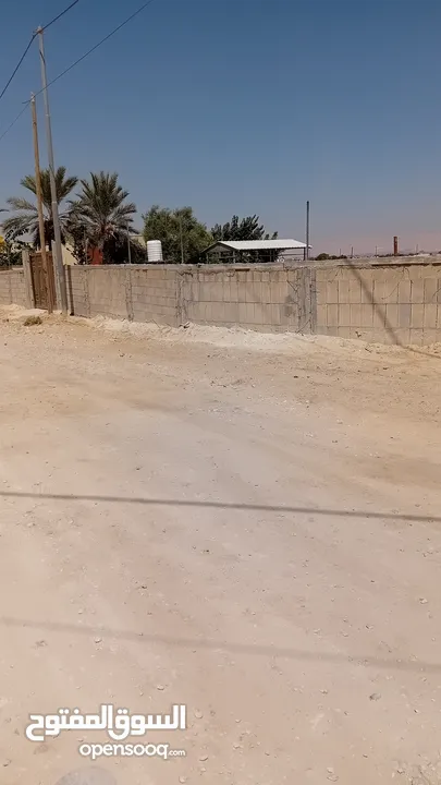 ارض للبيع في اريحا