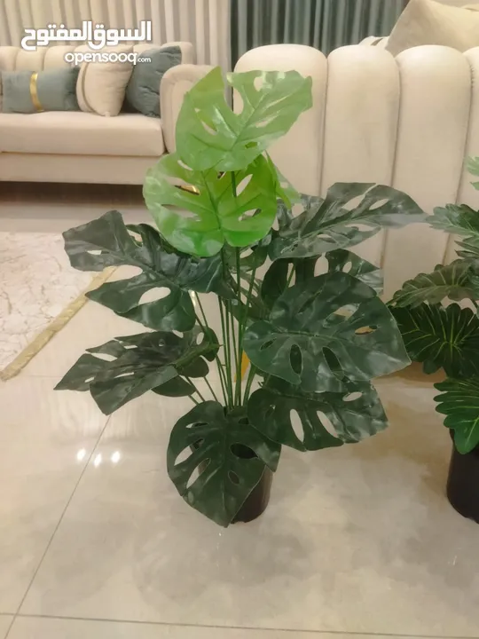 نبات صناعي متل الطبيعي جديد قطعة ويوجد توصيل