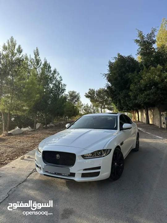جاغوار xe 2019
