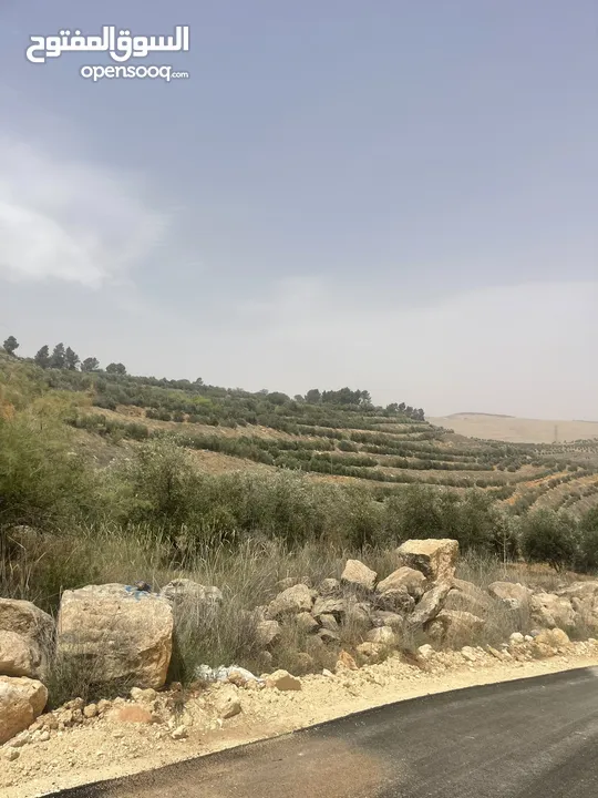 ارض زراعيه للبيع في اجمل مناطق العالوك
