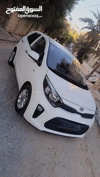 كيا ليكانتو ترخيص 2020 عداد قليل ولا جرام بويه