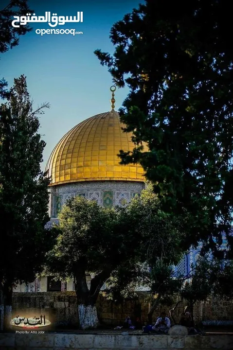 مطلوب صاروخ صغير مستعمل