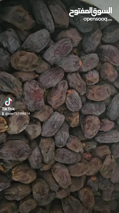 تمر مجهول للبيع بسعر الجمله