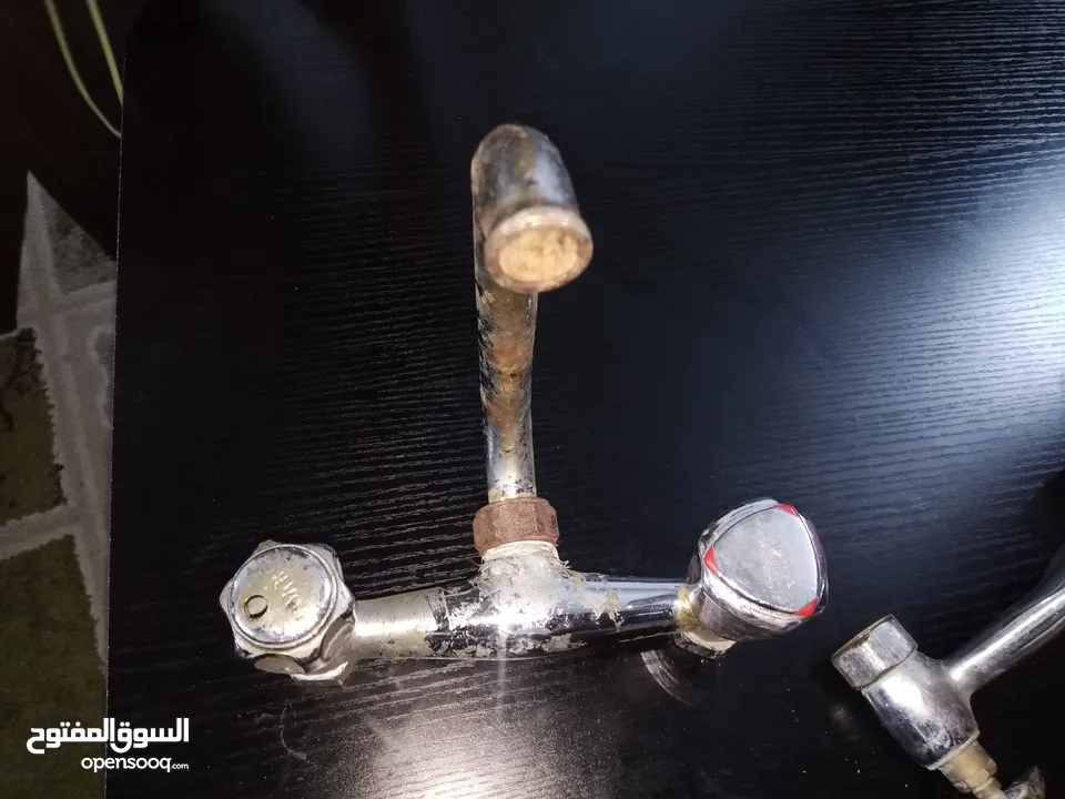 شغل مطير عصافير
