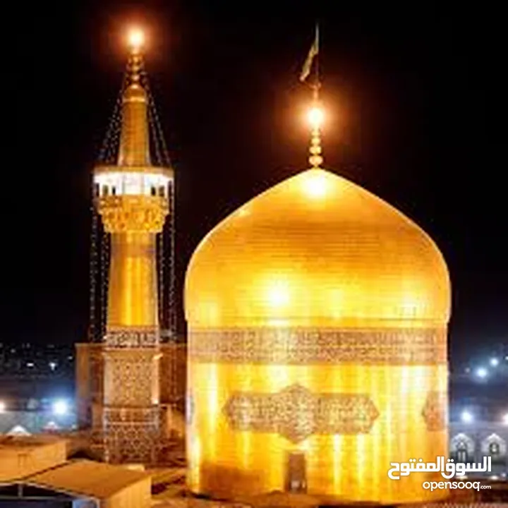 مترجم . سائق