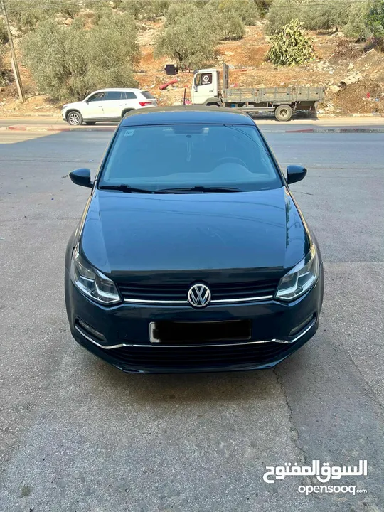 بولو تحفة و فحص