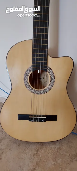 Acoustic Guitar