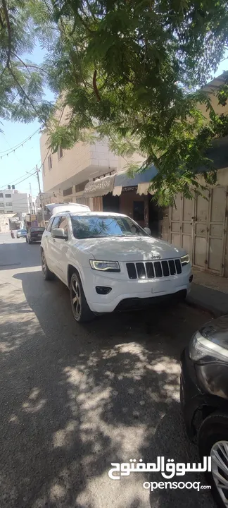 جيب فل كرتونه