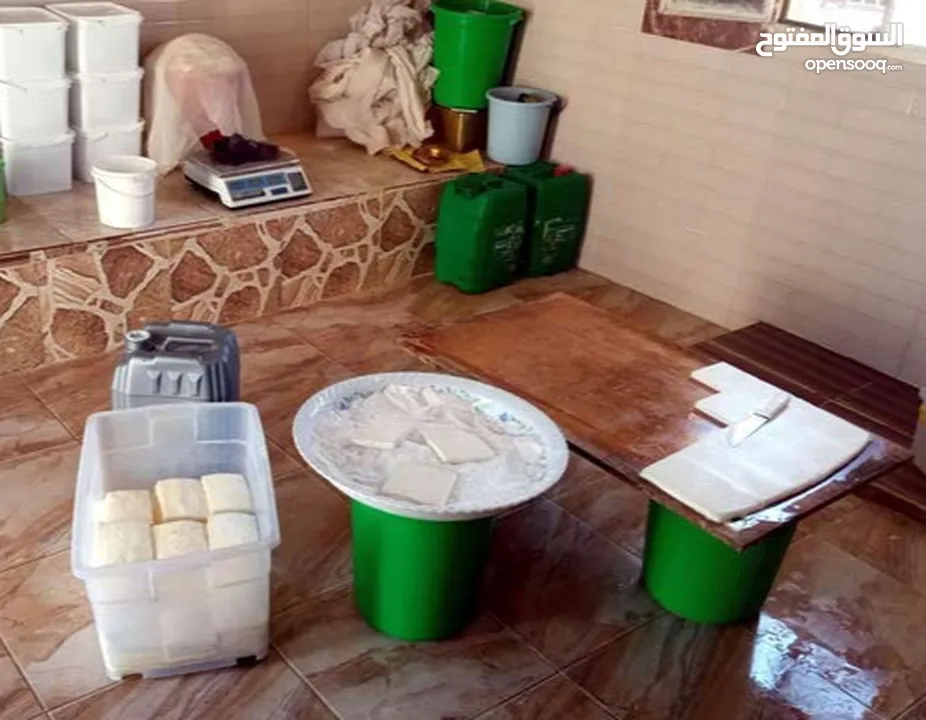 مطلوب شريك ممول لمعمل اجبان  يعمل بشكل جيد