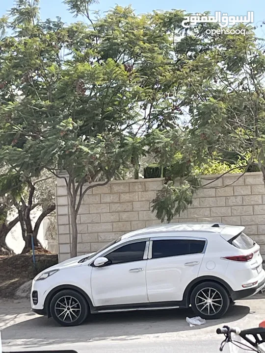 Kia sportage