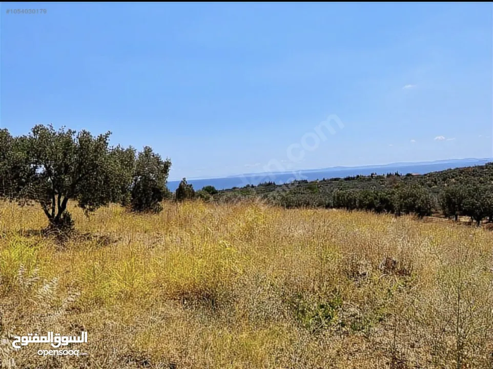 Land near to seaside with stunning view in a great nature green and blue together