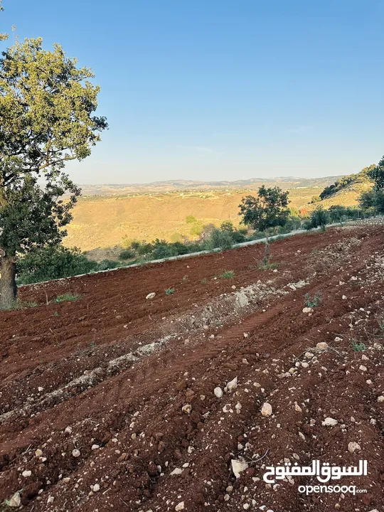 أرض مميزه _الصبيحي _ بيوضه الشماليه