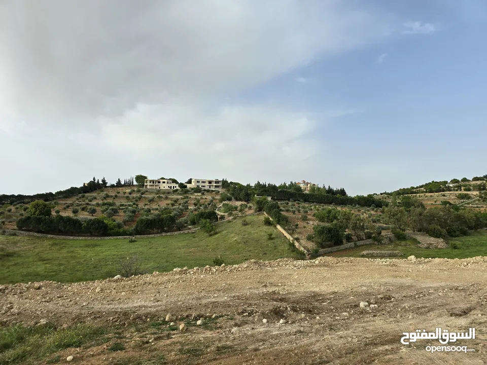غرب سوف سهلات الغربيه قرب قصر السفير الاماراتي منطقه فلل و مزارع راقيه