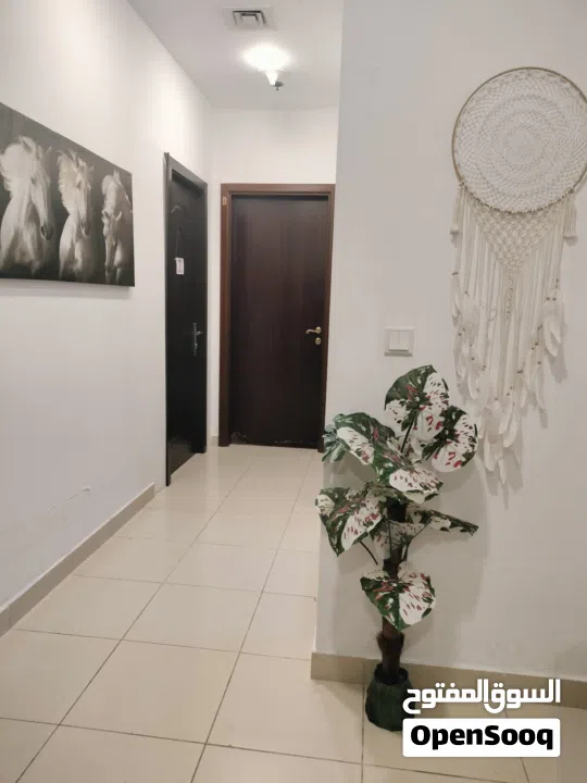 Partitions for ladies only only in Al Taawun Sharjah